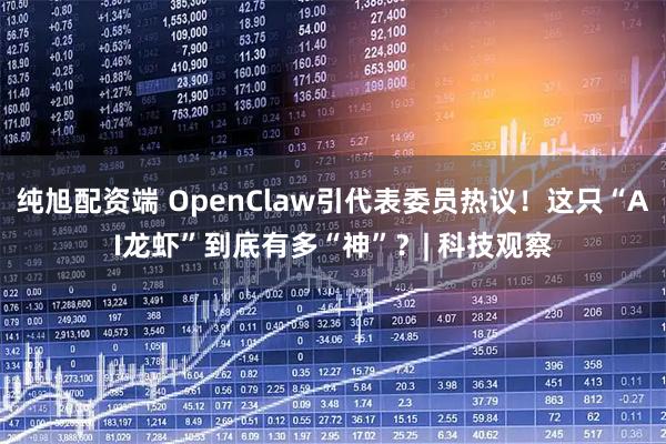 纯旭配资端 OpenClaw引代表委员热议！这只“AI龙虾”到底有多“神”？| 科技观察