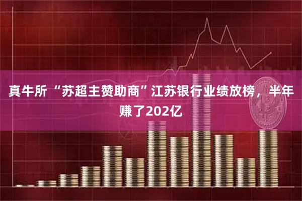 真牛所 “苏超主赞助商”江苏银行业绩放榜，半年赚了202亿