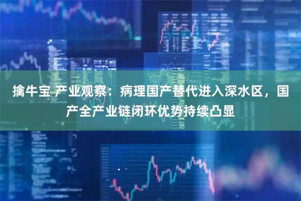 擒牛宝 产业观察：病理国产替代进入深水区，国产全产业链闭环优势持续凸显