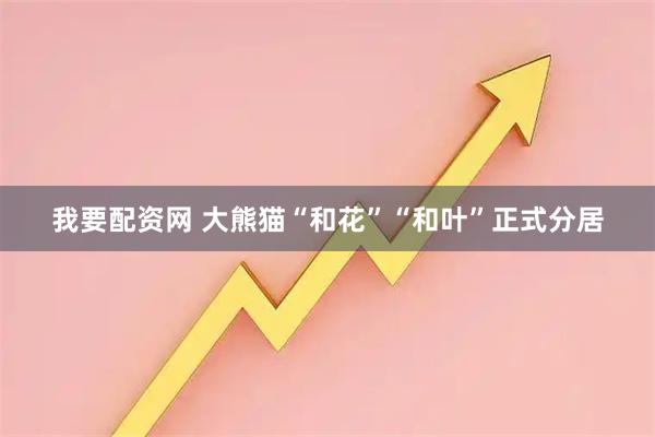 我要配资网 大熊猫“和花”“和叶”正式分居
