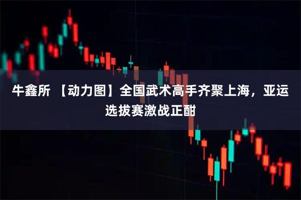牛鑫所 【动力图】全国武术高手齐聚上海，亚运选拔赛激战正酣